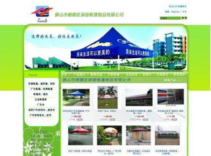 專業(yè)網(wǎng)站建設與定制 構(gòu)建您的數(shù)字化門戶