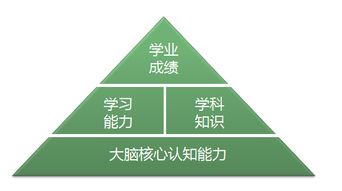 筑夢前行 視友科技以環境科技開拓全腦培育新領域，助力幼兒智慧教育