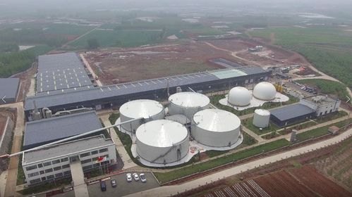 打造綠色能源發展標桿鎮 公共機構綠電使用率達50%以上的路徑與創新